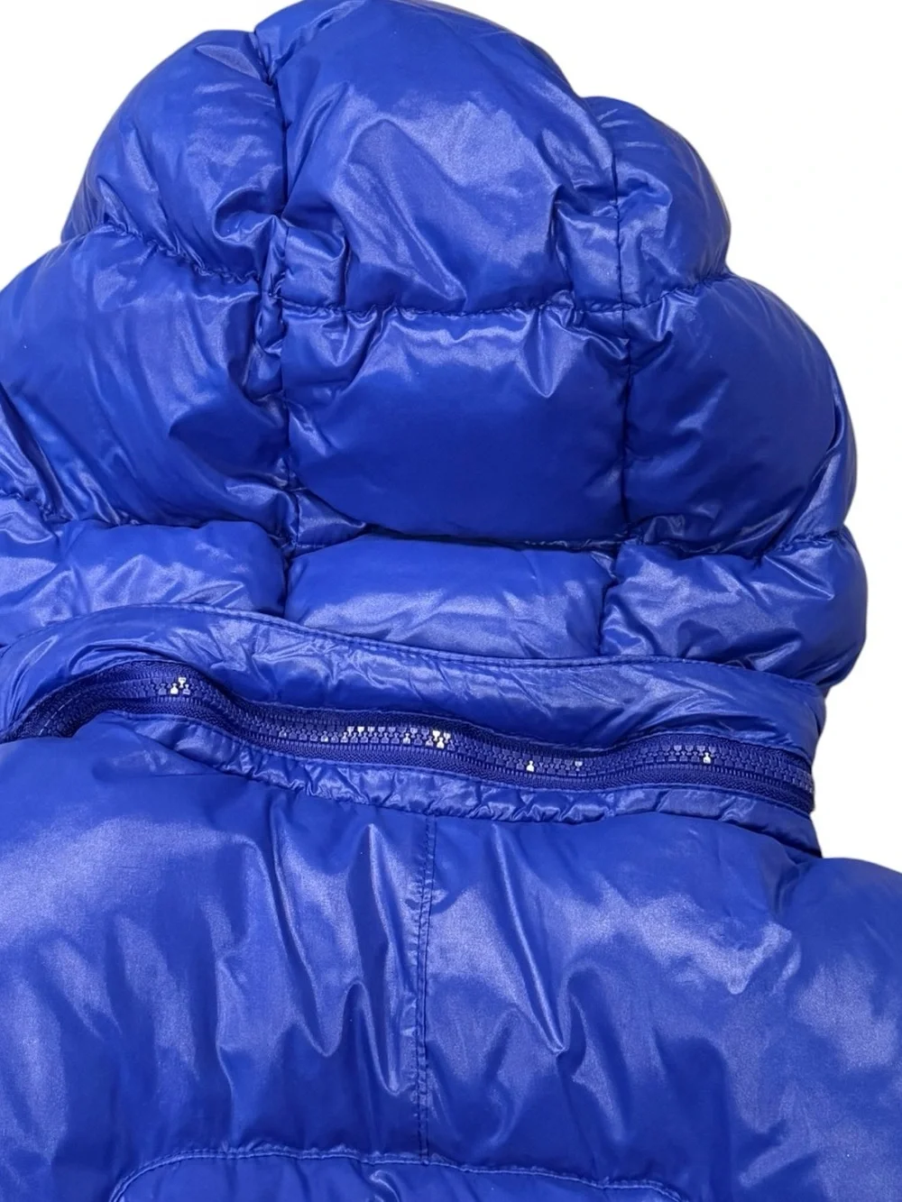 Boys Polo Ralph Lauren Puffer Jacket Removable Hood Royal Blue Pony Size 7